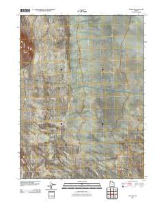 2011 Map of Jackson, 2011 Print