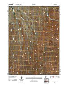2011 Map of Judd Mountain, 2011 Print
