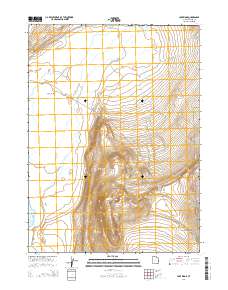 2014 Map of Lake Ridge, 2014 Print