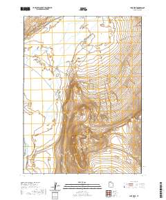 2020 Map of Lake Ridge, 2020 Print