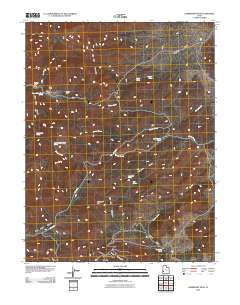 2010 Map of Lamerdorf Peak, 2010 Print