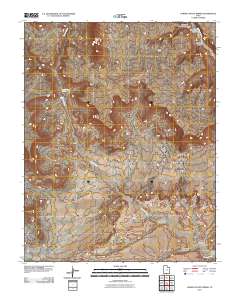 2011 Map of Lower Coyote Spring, 2011 Print