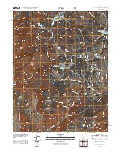 2011 Map of Marysvale Peak, 2011 Print