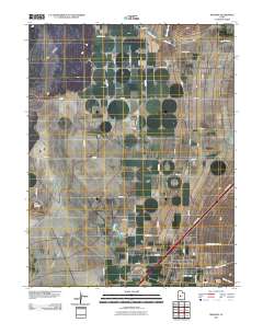 2011 Map of Meadow, 2011 Print