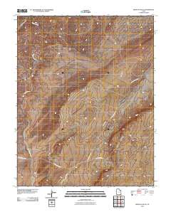2010 Map of Mexican Hat SE, 2010 Print