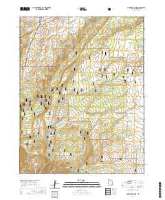 2020 Map of Monticello Lake, 2020 Print