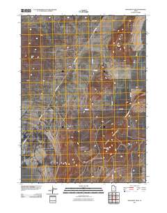 2011 Map of Monument Peak, 2011 Print