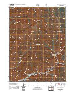 2011 Map of Mount Elmer, 2011 Print
