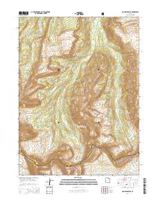 2014 Map of Mount Lovenia, 2014 Print