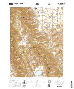 2020 Map of Mount Pisgah, 2020 Print