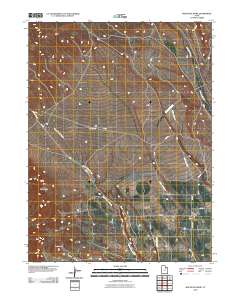 2010 Map of Mountain Home, 2010 Print
