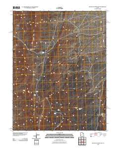 2010 Map of Mountain Home Pass, 2010 Print