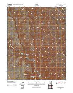 2011 Map of Needle Eye Point, 2011 Print