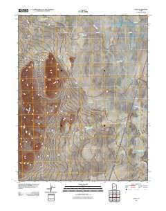 2011 Map of Neels, 2011 Print