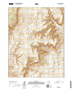 2020 Map of Nephi Point, 2020 Print
