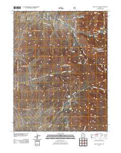 2011 Map of Oak City South, 2011 Print