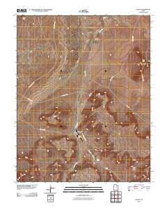 2011 Map of Oljato, 2011 Print