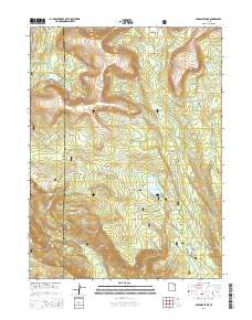 2014 Map of Paradise Park, 2014 Print