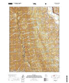 2020 Map of Peterson, 2020 Print