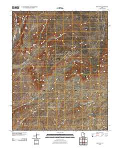 2010 Map of Pine Point, 2010 Print