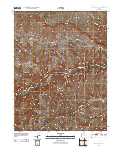 2011 Map of Pinnacle Canyon, 2011 Print