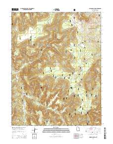 2014 Map of Poison Canyon, 2014 Print