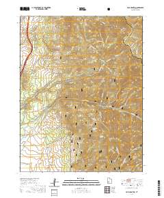 2020 Map of Pole Mountain, 2020 Print
