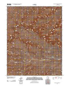 2011 Map of Pollys Pasture, 2011 Print