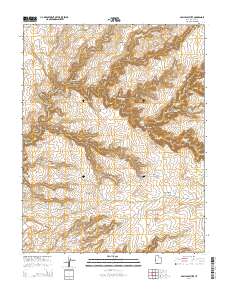 2014 Map of Pollys Pasture, 2014 Print