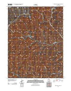 2011 Map of Preacher Canyon, 2011 Print