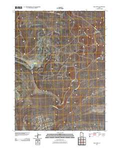 2011 Map of Red Dome, 2011 Print
