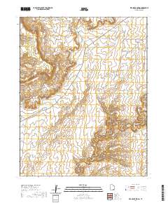 2020 Map of Red House Spring, 2020 Print