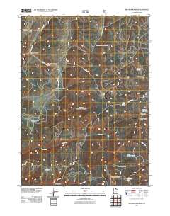 2011 Map of Red Spur Mountain, 2011 Print