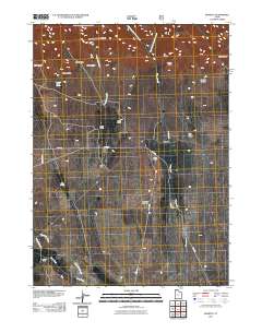 2011 Map of Rosette, 2011 Print
