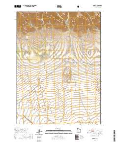 2020 Map of Rosette, 2020 Print
