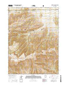 2014 Map of Rosevere Point, 2014 Print