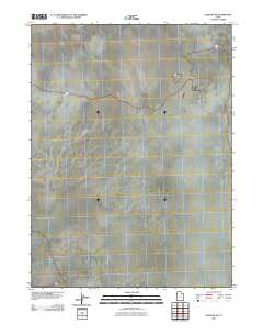 2011 Map of Salduro SE, 2011 Print