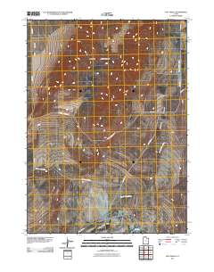 2011 Map of Salt Wells, 2011 Print