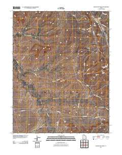 2011 Map of Sandstone Draw, 2011 Print