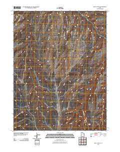 2011 Map of Seep Canyon, 2011 Print