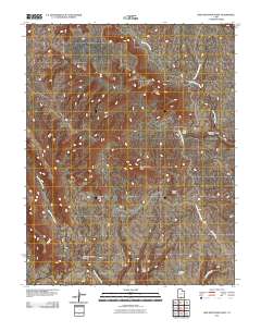 2011 Map of Ship Mountain Point, 2011 Print