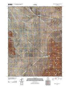 2011 Map of Simpson Springs, 2011 Print