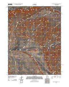 2011 Map of Snake John Reef, 2011 Print