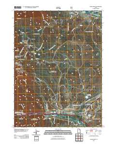 2011 Map of Snow Basin, 2011 Print