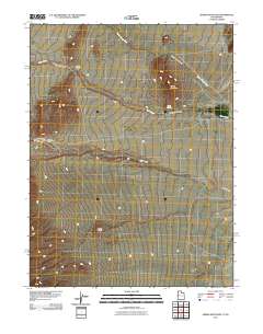 2011 Map of Spring Mountain, 2011 Print