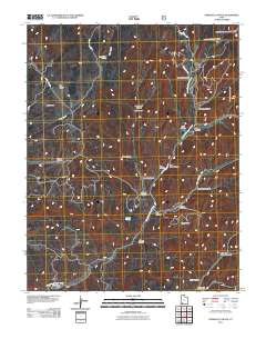 2011 Map of Straight Canyon, 2011 Print