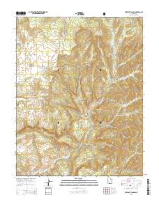 2014 Map of Straight Canyon, 2014 Print