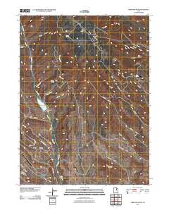 2010 Map of Tabby Mountain, 2010 Print