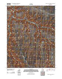 2011 Map of Tenmile Canyon North, 2011 Print