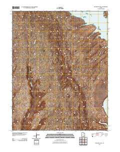 2011 Map of The Rincon NE, 2011 Print